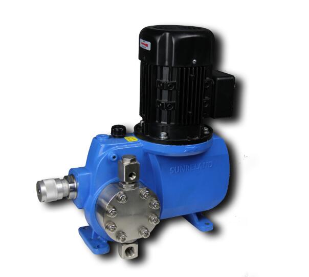 1733207818837711.jpg 2.jpg